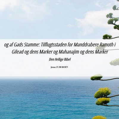 Picture 06 - Josua 21:38 DA1871 - og af Gads Stamme: Tilflugtsstaden for - Bible Verse Picture