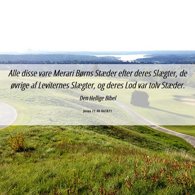 Picture 06 - Josua 21:40 DA1871 - Alle disse vare Merari Børns Stæder efter deres - Bible Verse Picture