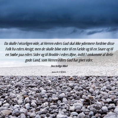 Picture 06 - Josua 23:13 DA1871 - Da skulle I visseligen vide, at Herren eders Gud - Bible Verse Picture