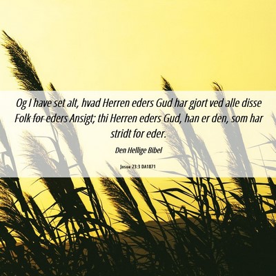 Picture 06 - Josua 23:3 DA1871 - Og I have set alt, hvad Herren eders Gud har - Bible Verse Picture