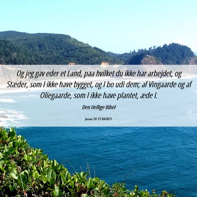 Picture 06 - Josua 24:13 DA1871 - Og jeg gav eder et Land, paa hvilket du ikke har - Bible Verse Picture