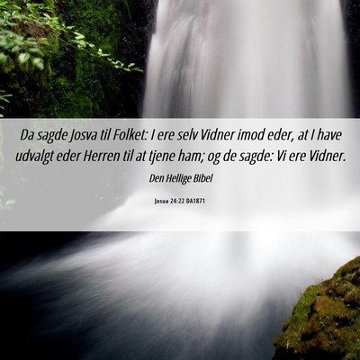 Picture 06 - Josua 24:22 DA1871 - Da sagde Josva til Folket: I ere selv Vidner imod - Bible Verse Picture
