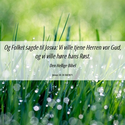 Picture 06 - Josua 24:24 DA1871 - Og Folket sagde til Josva: Vi ville tjene Herren - Bible Verse Picture