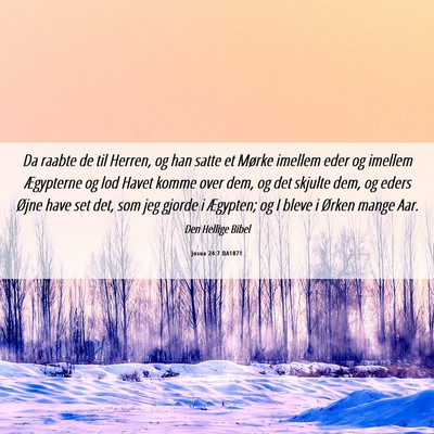 Picture 06 - Josua 24:7 DA1871 - Da raabte de til Herren, og han satte et Mørke - Bible Verse Picture