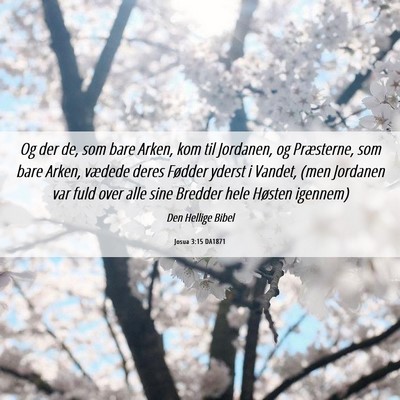 Picture 06 - Josua 3:15 DA1871 - Og der de, som bare Arken, kom til Jordanen, og - Bible Verse Picture