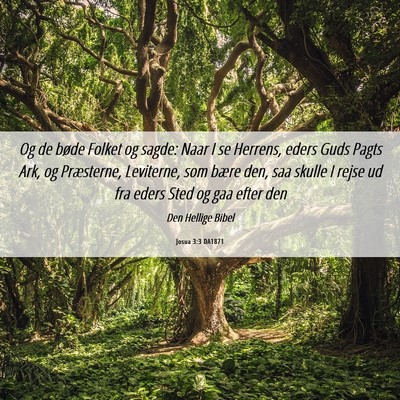 Picture 06 - Josua 3:3 DA1871 - Og de bøde Folket og sagde: Naar I se Herrens, - Bible Verse Picture
