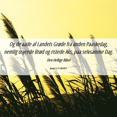 Picture 06 - Josua 5:11 DA1871 - Og de aade af Landets Grøde fra anden Paaskedag, - Bible Verse Picture