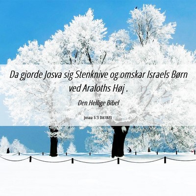 Picture 06 - Josua 5:3 DA1871 - Da gjorde Josva sig Stenknive og omskar Israels - Bible Verse Picture