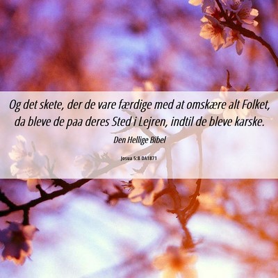 Picture 06 - Josua 5:8 DA1871 - Og det skete, der de vare færdige med at - Bible Verse Picture
