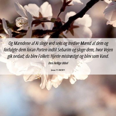 Picture 06 - Josua 7:5 DA1871 - Og Mændene af Ai sloge ved seks og tredive Mænd - Bible Verse Picture
