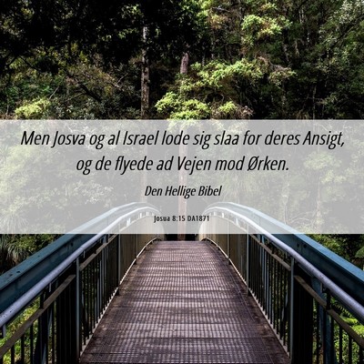Picture 06 - Josua 8:15 DA1871 - Men Josva og al Israel lode sig slaa for deres - Bible Verse Picture