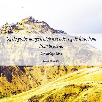 Picture 06 - Josua 8:23 DA1871 - Og de grebe Kongen af Ai levende, og de førte - Bible Verse Picture