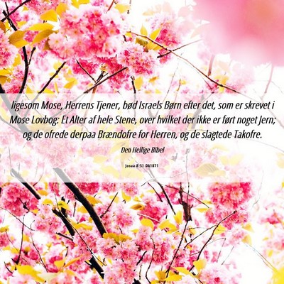 Picture 06 - Josua 8:31 DA1871 - ligesom Mose, Herrens Tjener, bød Israels Børn - Bible Verse Picture