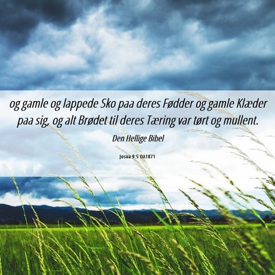 Picture 06 - Josua 9:5 DA1871 - og gamle og lappede Sko paa deres Fødder og - Bible Verse Picture