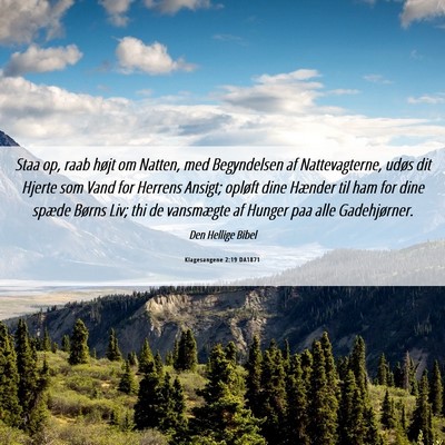 Picture 06 - Klagesangene 2:19 DA1871 - Staa op, raab højt om Natten, med Begyndelsen af - Bible Verse Picture