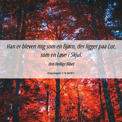 Picture 06 - Klagesangene 3:10 DA1871 - Han er bleven mig som en Bjørn, der ligger paa - Bible Verse Picture