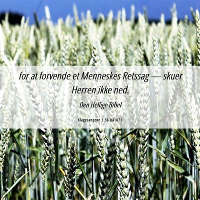 Picture 06 - Klagesangene 3:36 DA1871 - for at forvende et Menneskes Retssag — skuer - Bible Verse Picture