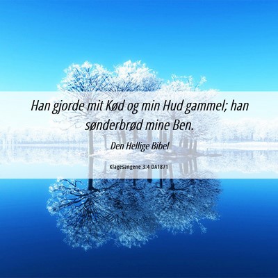 Picture 06 - Klagesangene 3:4 DA1871 - Han gjorde mit Kød og min Hud gammel; han - Bible Verse Picture
