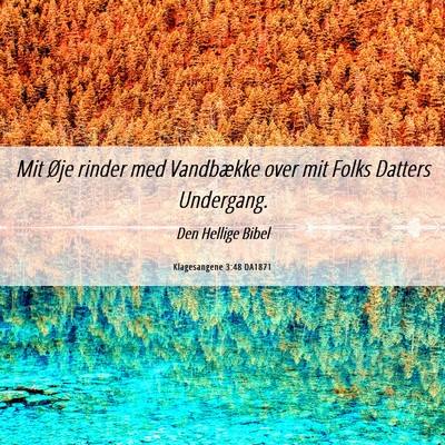 Picture 06 - Klagesangene 3:48 DA1871 - Mit Øje rinder med Vandbække over mit Folks - Bible Verse Picture