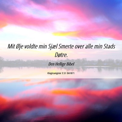 Picture 06 - Klagesangene 3:51 DA1871 - Mit Øje voldte min Sjæl Smerte over alle min - Bible Verse Picture