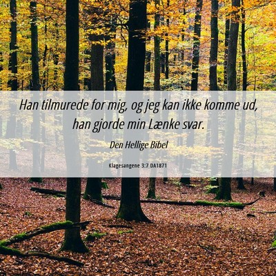 Picture 06 - Klagesangene 3:7 DA1871 - Han tilmurede for mig, og jeg kan ikke komme ud, - Bible Verse Picture