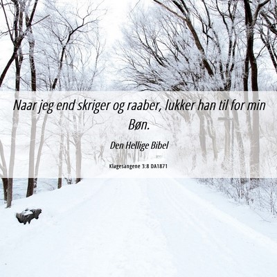 Picture 06 - Klagesangene 3:8 DA1871 - Naar jeg end skriger og raaber, lukker han til - Bible Verse Picture