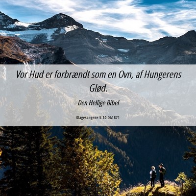 Picture 06 - Klagesangene 5:10 DA1871 - Vor Hud er forbrændt som en Ovn, af Hungerens - Bible Verse Picture