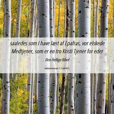 Picture 06 - Kolossenserne 1:7 DA1871 - saaledes som I have lært af Epafras, vor elskede - Bible Verse Picture
