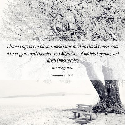 Picture 06 - Kolossenserne 2:11 DA1871 - i hvem I ogsaa ere blevne omskaarne med en - Bible Verse Picture