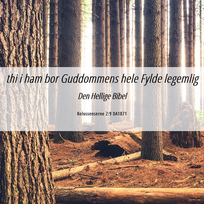 Picture 06 - Kolossenserne 2:9 DA1871 - thi i ham bor Guddommens hele Fylde - Bible Verse Picture