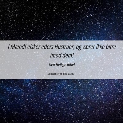 Picture 06 - Kolossenserne 3:19 DA1871 - I Mænd! elsker eders Hustruer, og værer ikke - Bible Verse Picture