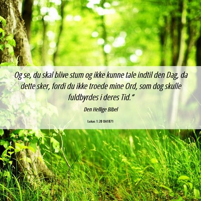Picture 06 - Lukas 1:20 DA1871 - Og se, du skal blive stum og ikke kunne tale - Bible Verse Picture