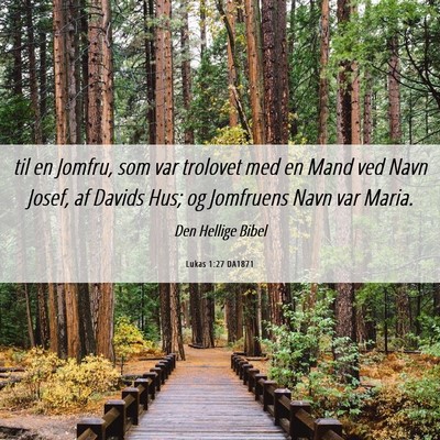 Picture 06 - Lukas 1:27 DA1871 - til en Jomfru, som var trolovet med en Mand ved - Bible Verse Picture