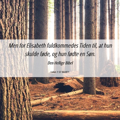 Picture 06 - Lukas 1:57 DA1871 - Men for Elisabeth fuldkommedes Tiden til, at hun - Bible Verse Picture