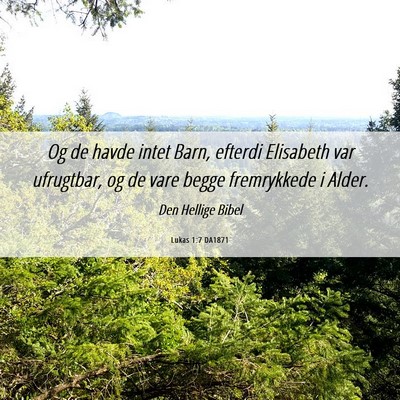 Picture 06 - Lukas 1:7 DA1871 - Og de havde intet Barn, efterdi Elisabeth var - Bible Verse Picture