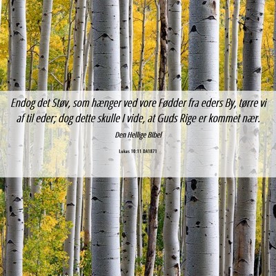 Picture 06 - Lukas 10:11 DA1871 - Endog det Støv, som hænger ved vore Fødder fra - Bible Verse Picture