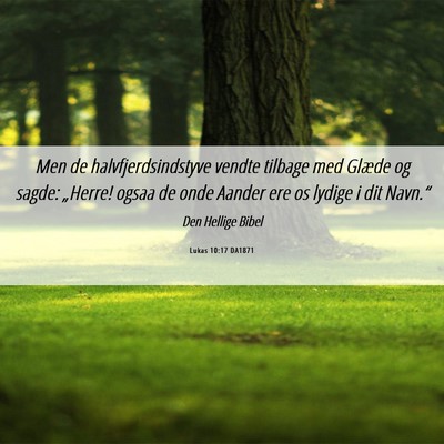 Picture 06 - Lukas 10:17 DA1871 - Men de halvfjerdsindstyve vendte tilbage med - Bible Verse Picture