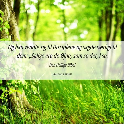 Picture 06 - Lukas 10:23 DA1871 - Og han vendte sig til Disciplene og sagde - Bible Verse Picture