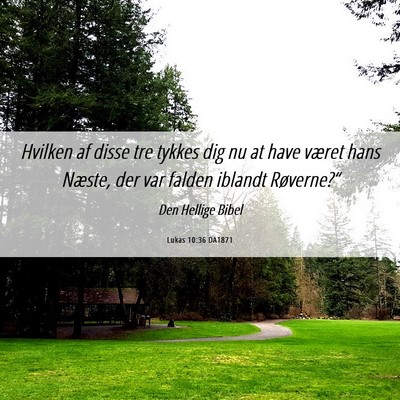 Picture 06 - Lukas 10:36 DA1871 - Hvilken af disse tre tykkes dig nu at have været - Bible Verse Picture