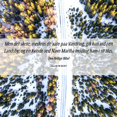 Picture 06 - Lukas 10:38 DA1871 - Men det skete, medens de vare paa Vandring, gik - Bible Verse Picture