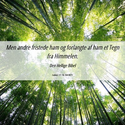 Picture 06 - Lukas 11:16 DA1871 - Men andre fristede ham og forlangte af ham et - Bible Verse Picture