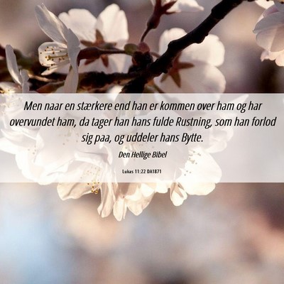 Picture 06 - Lukas 11:22 DA1871 - Men naar en stærkere end han er kommen over ham - Bible Verse Picture