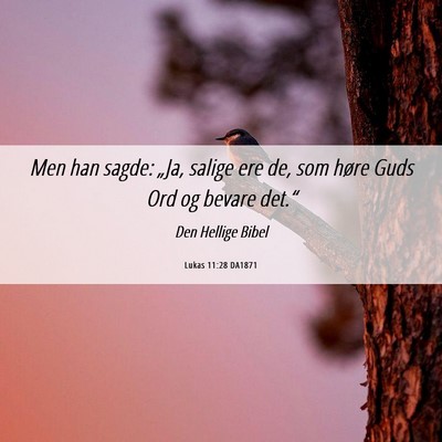 Picture 06 - Lukas 11:28 DA1871 - Men han sagde: „Ja, salige ere de, som høre - Bible Verse Picture