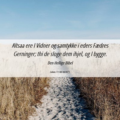 Picture 06 - Lukas 11:48 DA1871 - Altsaa ere I Vidner og samtykke i eders Fædres - Bible Verse Picture