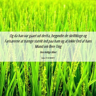 Picture 06 - Lukas 11:53 DA1871 - Og da han var gaaet ud derfra, begyndte de - Bible Verse Picture