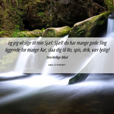 Picture 06 - Lukas 12:19 DA1871 - og jeg vil sige til min Sjæl: Sjæl! du har - Bible Verse Picture