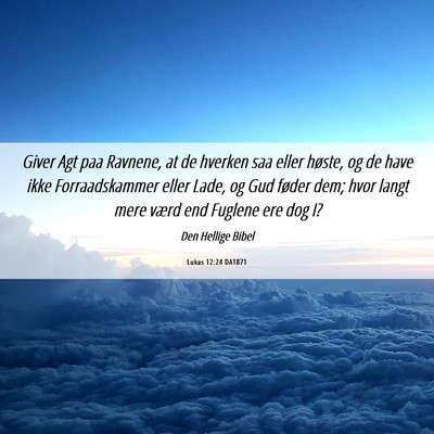 Picture 06 - Lukas 12:24 DA1871 - Giver Agt paa Ravnene, at de hverken saa eller - Bible Verse Picture