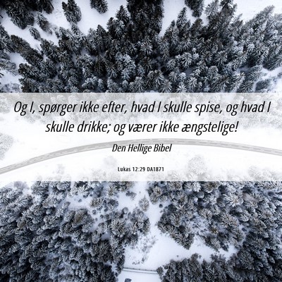 Picture 06 - Lukas 12:29 DA1871 - Og I, spørger ikke efter, hvad I skulle spise, - Bible Verse Picture