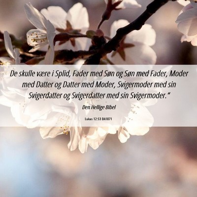 Picture 06 - Lukas 12:53 DA1871 - De skulle være i Splid, Fader med Søn og Søn - Bible Verse Picture