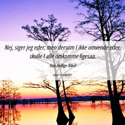 Picture 06 - Lukas 13:3 DA1871 - Nej, siger jeg eder; men dersom I ikke omvende - Bible Verse Picture